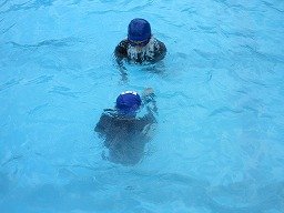 IMG_7798.jpg