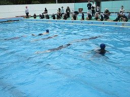 IMG_7799.jpg