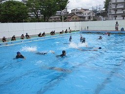 IMG_7800.jpg