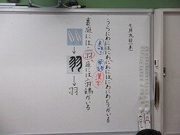 IMG_8005.jpg