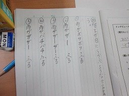 IMG_8018.jpg