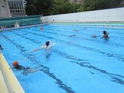 IMG_8110.jpg