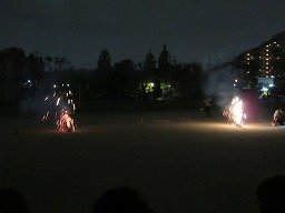 IMG_8167.jpg
