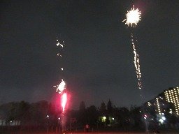 IMG_8178.jpg