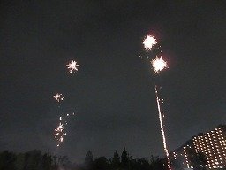 IMG_8182.jpg