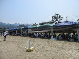 IMG_8195.jpg