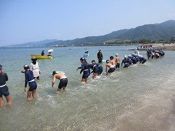 IMG_8198.jpg