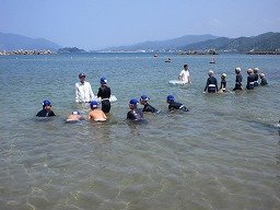 IMG_8199.jpg