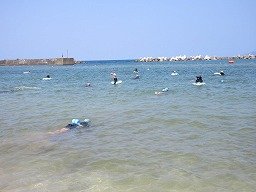 IMG_8218.jpg
