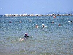 IMG_8219.jpg
