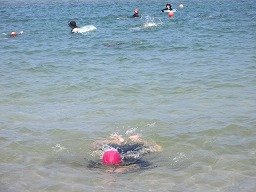 IMG_8220.jpg
