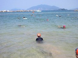IMG_8222.jpg