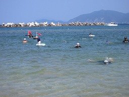 IMG_8225.jpg