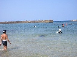 IMG_8235.jpg