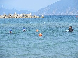 IMG_8237.jpg