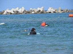 IMG_8238.jpg