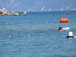 IMG_8240.jpg