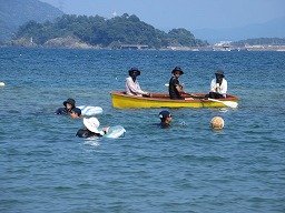 IMG_8241.jpg
