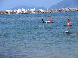 IMG_8243.jpg