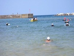 IMG_8244.jpg