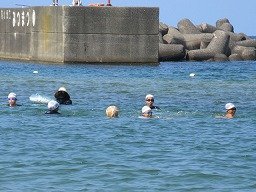 IMG_8248.jpg