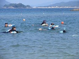 IMG_8255.jpg