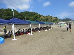 IMG_8314.jpg