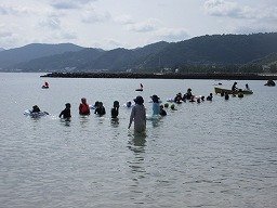 IMG_8323.jpg