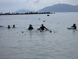 IMG_8324.jpg