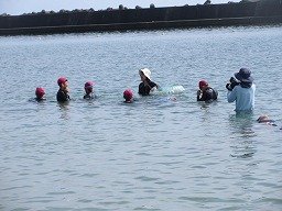 IMG_8325.jpg
