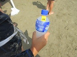 IMG_8329.jpg