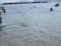 IMG_8331.jpg
