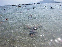 IMG_8335.jpg