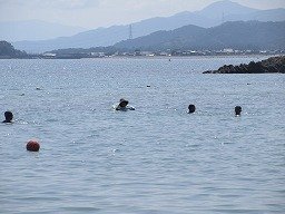 IMG_8347.jpg
