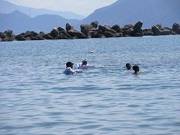 IMG_8348.jpg