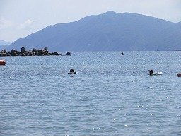 IMG_8350.jpg