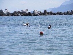 IMG_8351.jpg