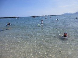 IMG_8356.jpg