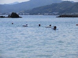 IMG_8362.jpg