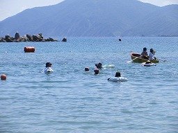 IMG_8368.jpg