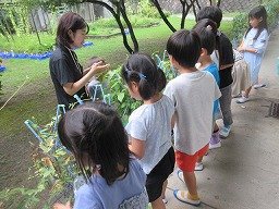 IMG_8629.jpg