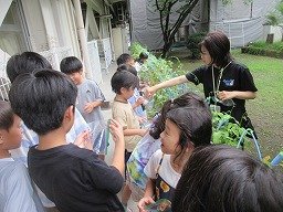 IMG_8633.jpg