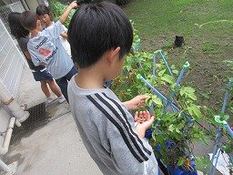 IMG_8634.jpg