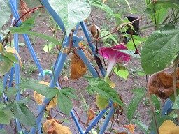IMG_8636.jpg