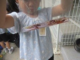 IMG_8637.jpg