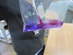 IMG_8639.jpg