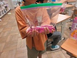 IMG_8641.jpg