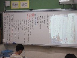 IMG_8719.jpg