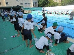 IMG_8727.jpg
