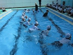 IMG_8728.jpg